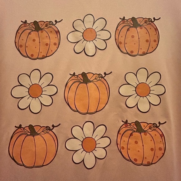 SALE Light Pink Pumpkin and Daisy Tee - Picture 2 of 5